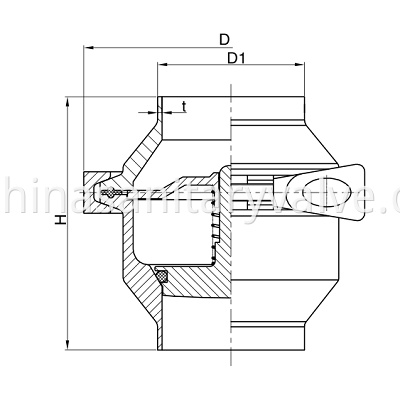 sanitary check valve weld